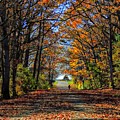 A Stroll Through Autumn Colors
