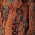 The Beauty of Rust